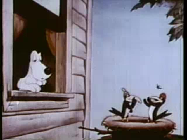 The Talking Magpies